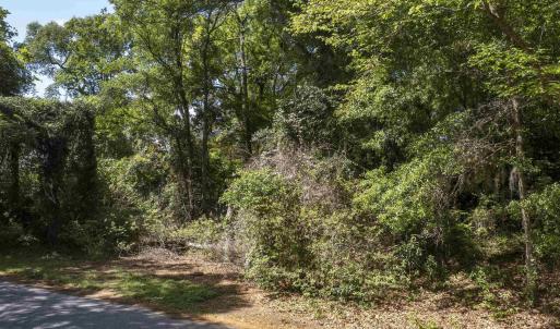 Photo #11 of 153 Bayberry Trail, Southern Shores, NC 0.5 acres