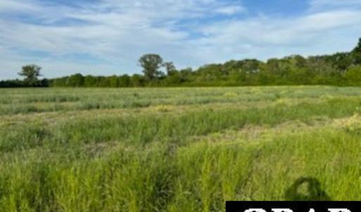 Photo #1 of Lot B Highway 343, South Mills, NC