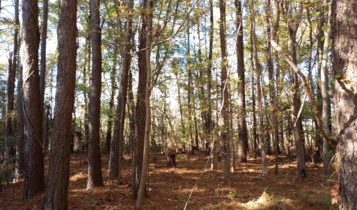Photo #13 of 4332 Riverneck Road, Columbia, NC