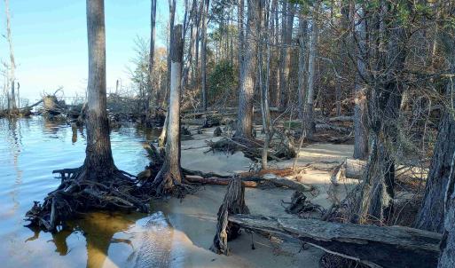 Photo #15 of 4332 Riverneck Road, Columbia, NC