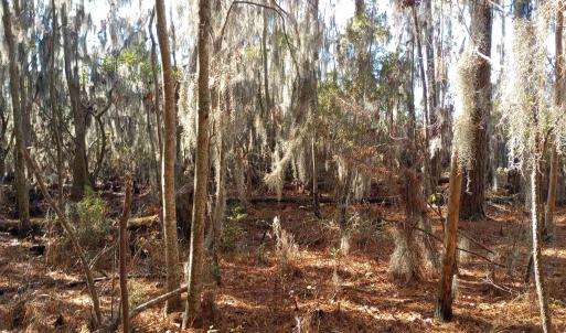 Photo #17 of 4332 Riverneck Road, Columbia, NC