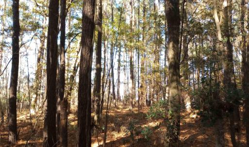 Photo #14 of 4332 Riverneck Road, Columbia, NC