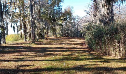 Photo #9 of 4332 Riverneck Road, Columbia, NC