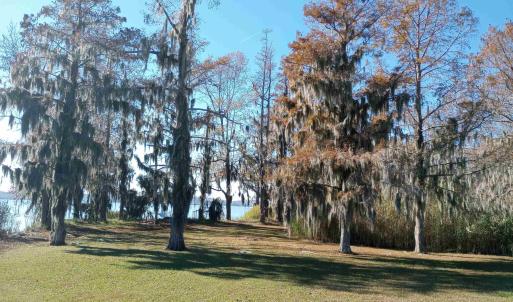 Photo #8 of 4332 Riverneck Road, Columbia, NC
