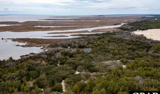 Where the Wild Horses Roam