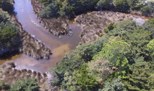 Photo #9 of NC Highway 12, Salvo, NC 1.6 acres