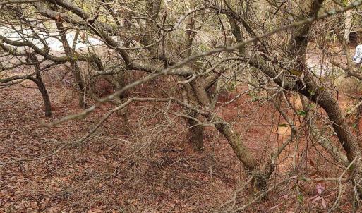 Photo #20 of 2356 Sandpiper Road, Corolla, NC