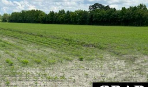 Photo #9 of TBD Tulls Creek Road, Moyock, NC