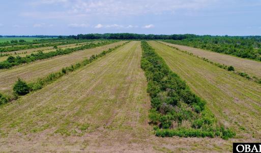 Photo #20 of Magnolia Road, Columbia, NC