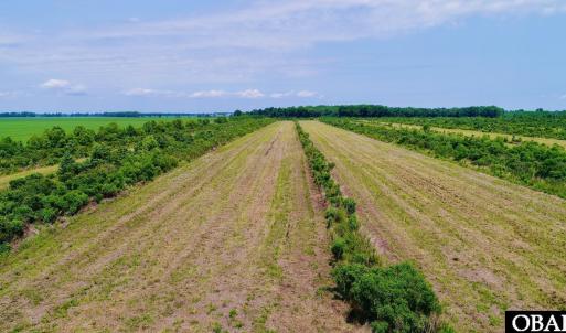 Photo #10 of Magnolia Road, Columbia, NC