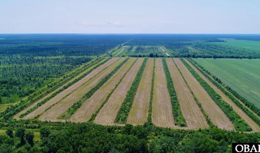 Photo #8 of Magnolia Road, Columbia, NC