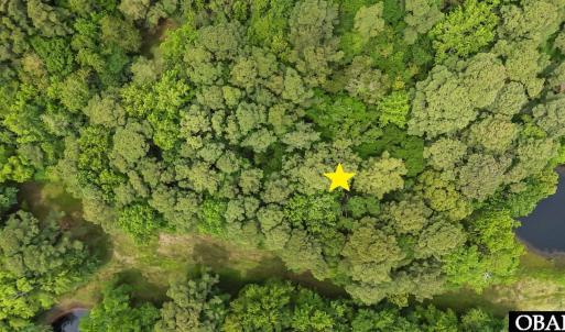 Photo #8 of 5301 Maple Court, Kitty Hawk, NC 0.7 acres