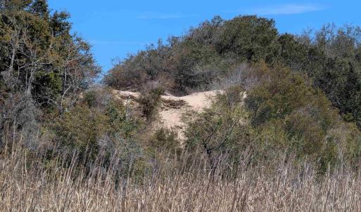 Possible House Site?