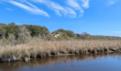 Possible House Site?