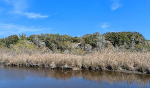 Possible House Site?