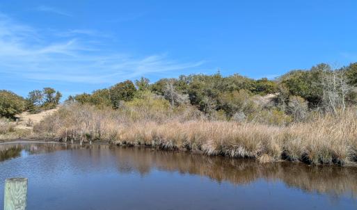 Possible House Site?