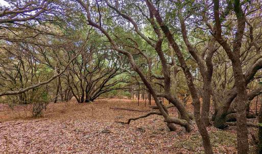 Photo #7 of 2386 Carova Road, Corolla, NC 0.3 acres