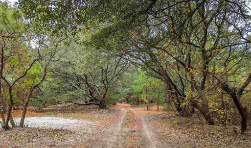 Photo #12 of 2386 Carova Road, Corolla, NC 0.3 acres