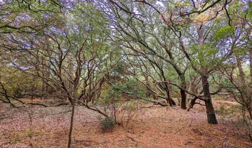 Photo #5 of 2386 Carova Road, Corolla, NC 0.3 acres