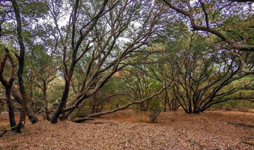Photo #8 of 2386 Carova Road, Corolla, NC 0.3 acres