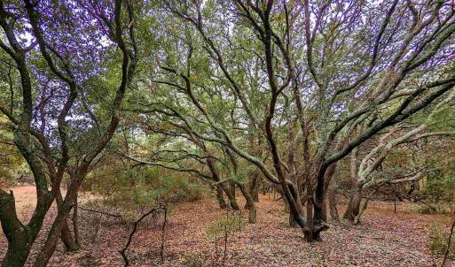 Photo #4 of 2386 Carova Road, Corolla, NC 0.3 acres