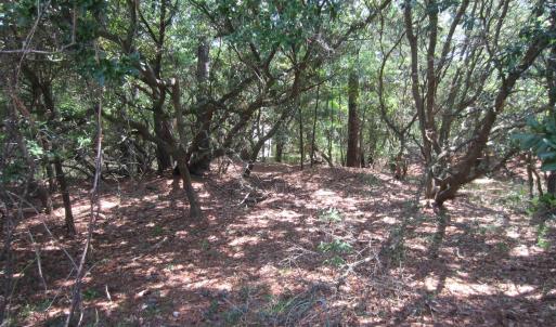Photo #7 of 134 Goose Feather Lane, Southern Shores, NC 0.5 acres