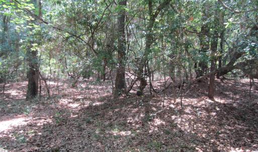 Photo #12 of 134 Goose Feather Lane, Southern Shores, NC 0.5 acres