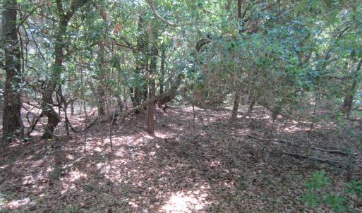 Photo #13 of 134 Goose Feather Lane, Southern Shores, NC 0.5 acres