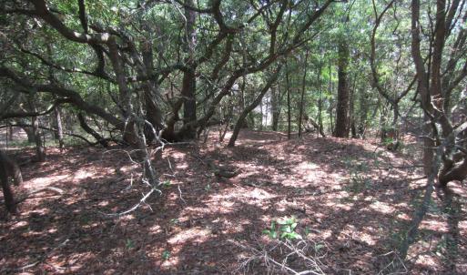 Photo #8 of 134 Goose Feather Lane, Southern Shores, NC 0.5 acres