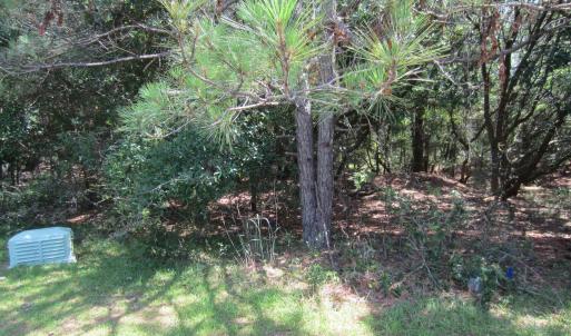 Photo #10 of 134 Goose Feather Lane, Southern Shores, NC 0.5 acres
