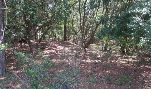 Photo #11 of 134 Goose Feather Lane, Southern Shores, NC 0.5 acres