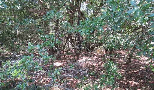 Photo #14 of 134 Goose Feather Lane, Southern Shores, NC 0.5 acres