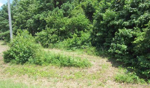 Photo #7 of 7167 Caratoke Highway, Jarvisburg, NC 1.5 acres