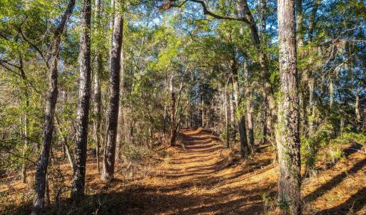 Photo #4 of Kitty Hawk Road, Kitty Hawk, NC 11.8 acres