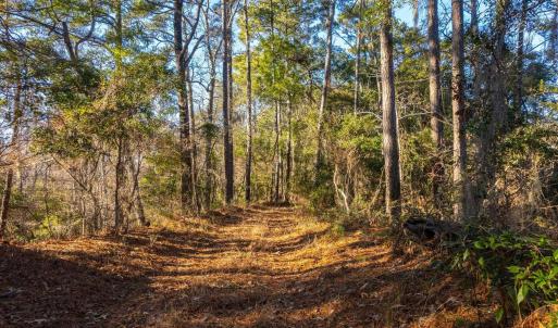 Photo #5 of Kitty Hawk Road, Kitty Hawk, NC 11.8 acres