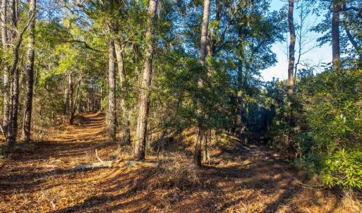 Photo #6 of Kitty Hawk Road, Kitty Hawk, NC 11.8 acres
