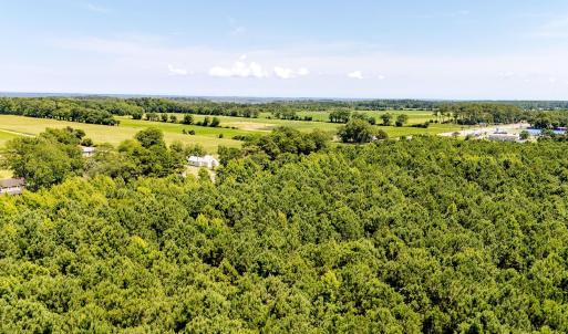 Photo #12 of 6842 Caratoke Highway, Grandy, NC 11.5 acres