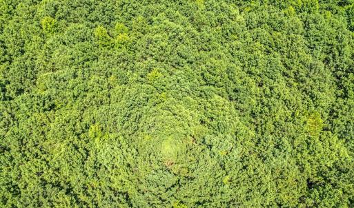 Photo #16 of 6842 Caratoke Highway, Grandy, NC 11.5 acres