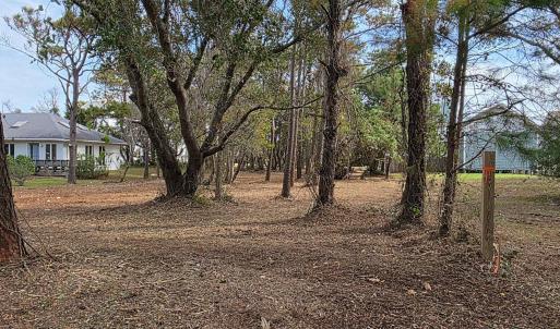 Wrightsville Ave View