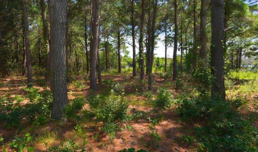Photo #11 of 918 Plover Court, Corolla, NC