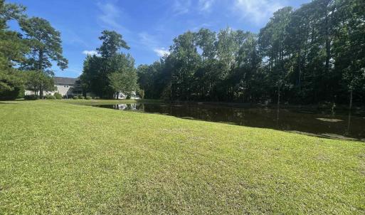 Pond