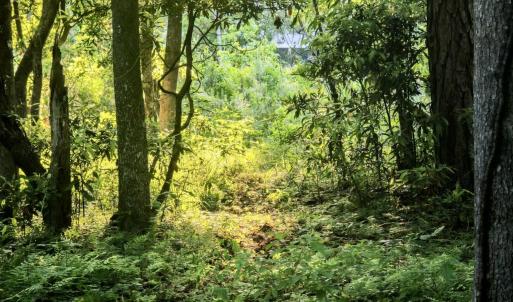 Dream Homesite