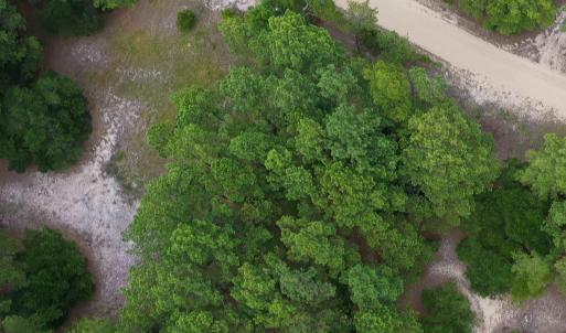 Photo #7 of 2364 Swan Island Road, Corolla, NC 0.3 acres