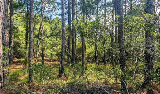 Photo #5 of 2364 Swan Island Road, Corolla, NC 0.3 acres
