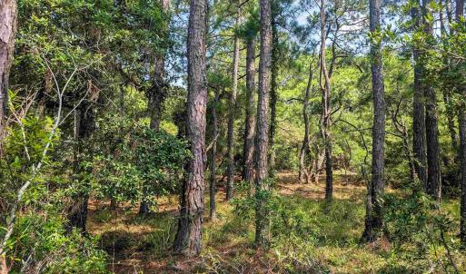 Photo #6 of 2364 Swan Island Road, Corolla, NC 0.3 acres