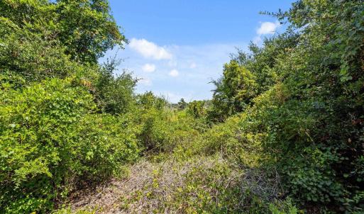 Photo #15 of 50748 Timber Trail, Frisco, NC 0.2 acres