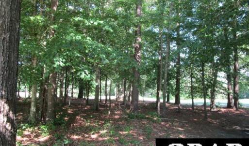 Photo #1 of Roanoke Drive, Hertford, NC 0.4 acres