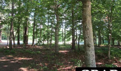 Photo #4 of Roanoke Drive, Hertford, NC 0.4 acres