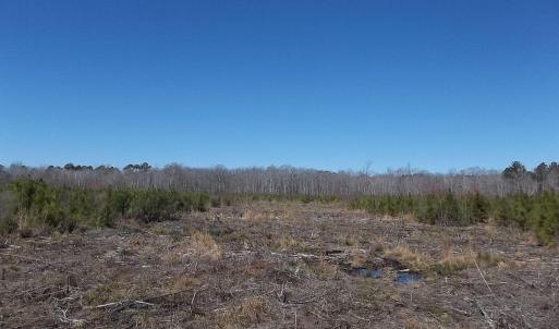 Photo #1 of TBD Boat Ramp Road, New Hope, NC