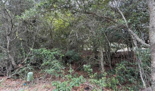 Photo #15 of 131 Brandon Court, Duck, NC 0.4 acres